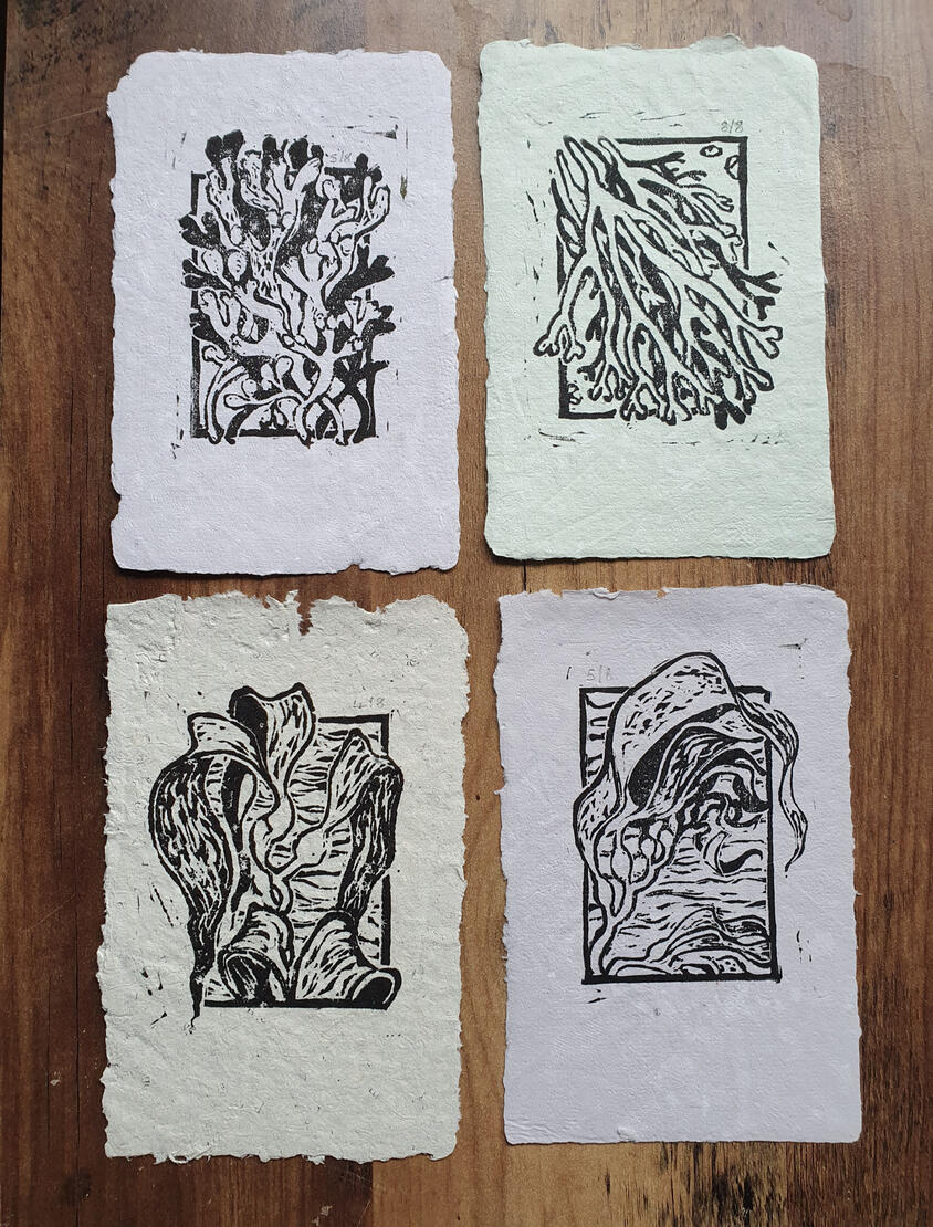 Untitled Untitled